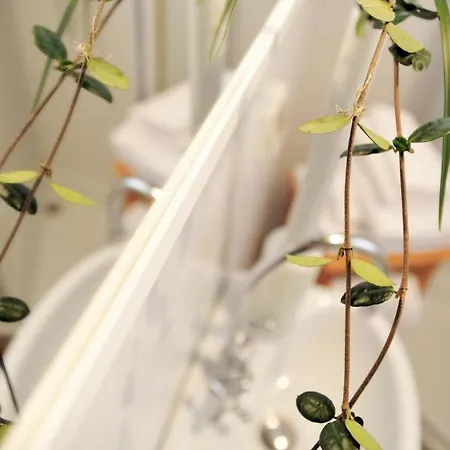 住宿加早餐酒店 Stop & Sleep On The Hills 3*