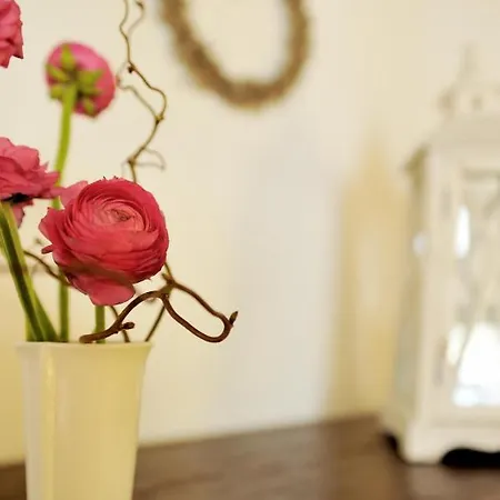 Stop & Sleep On The Hills 住宿加早餐酒店