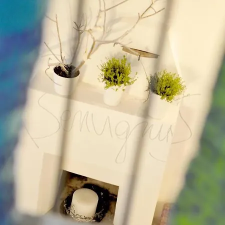 Stop & Sleep On The Hills 住宿加早餐酒店 法加尼亚