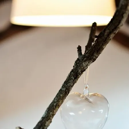 Stop & Sleep On The Hills 住宿加早餐酒店